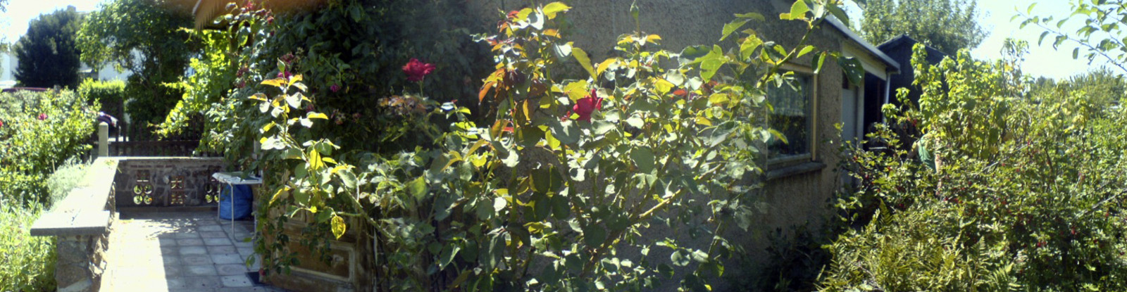 LifeTimeEurope06-017