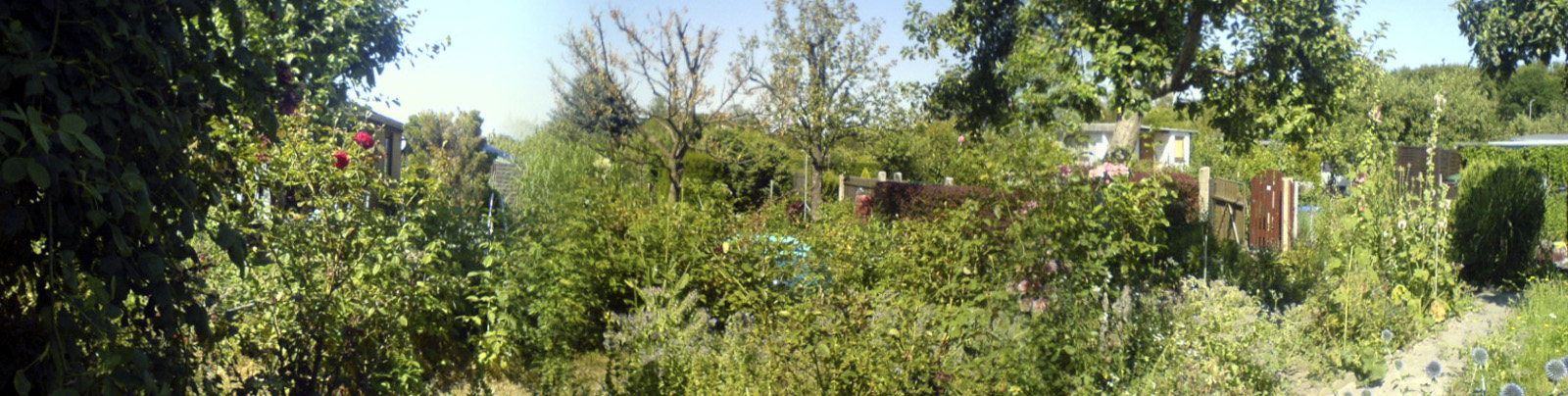 LifeTimeEurope06-048