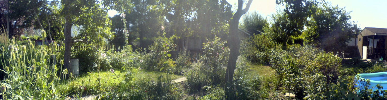 LifeTimeEurope06-056